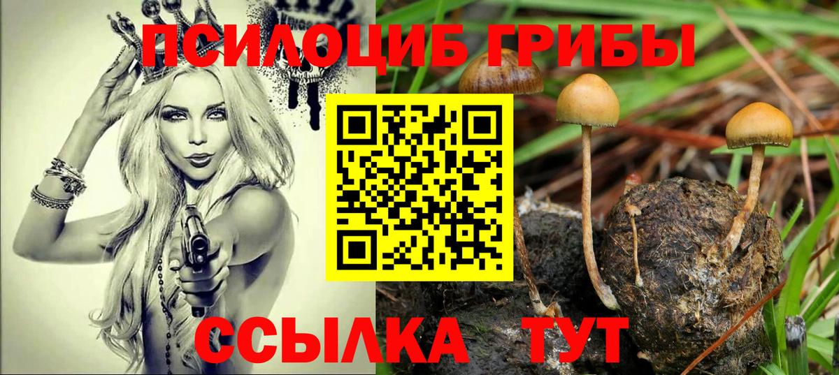 Галлюциногенные грибы Cubensis Петрозаводск