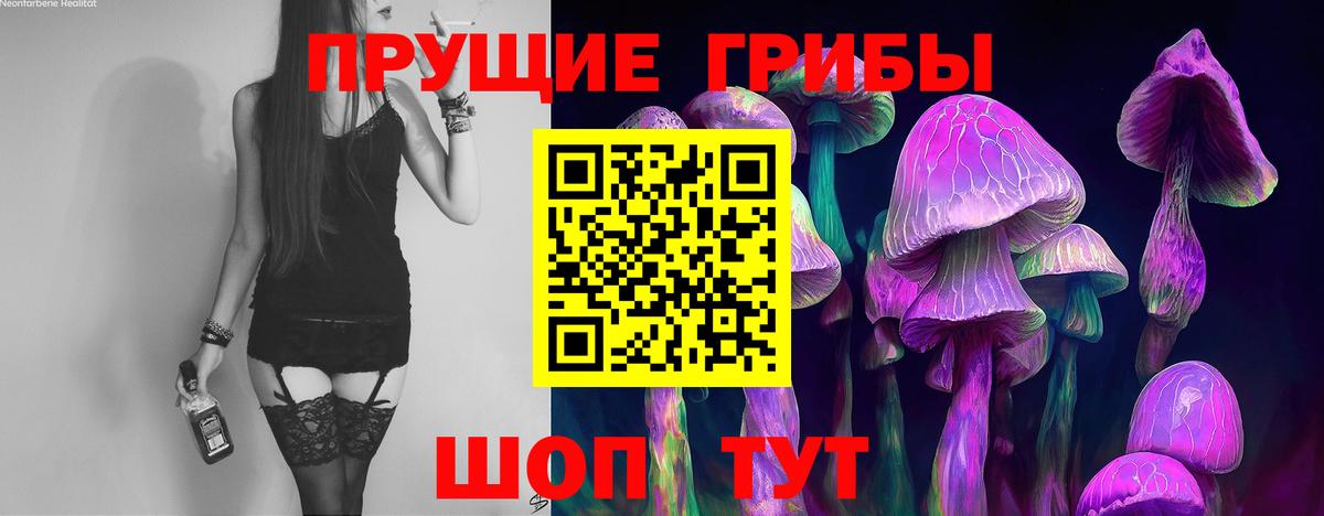 Псилоцибиновые грибы GOLDEN TEACHER  Вход с VPN  хочу наркоту  Петрозаводск 